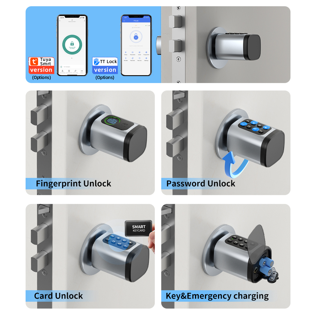 RAYKUBE V1 Tuya BLE TT serrure - Diy Home Electronics avis et prix